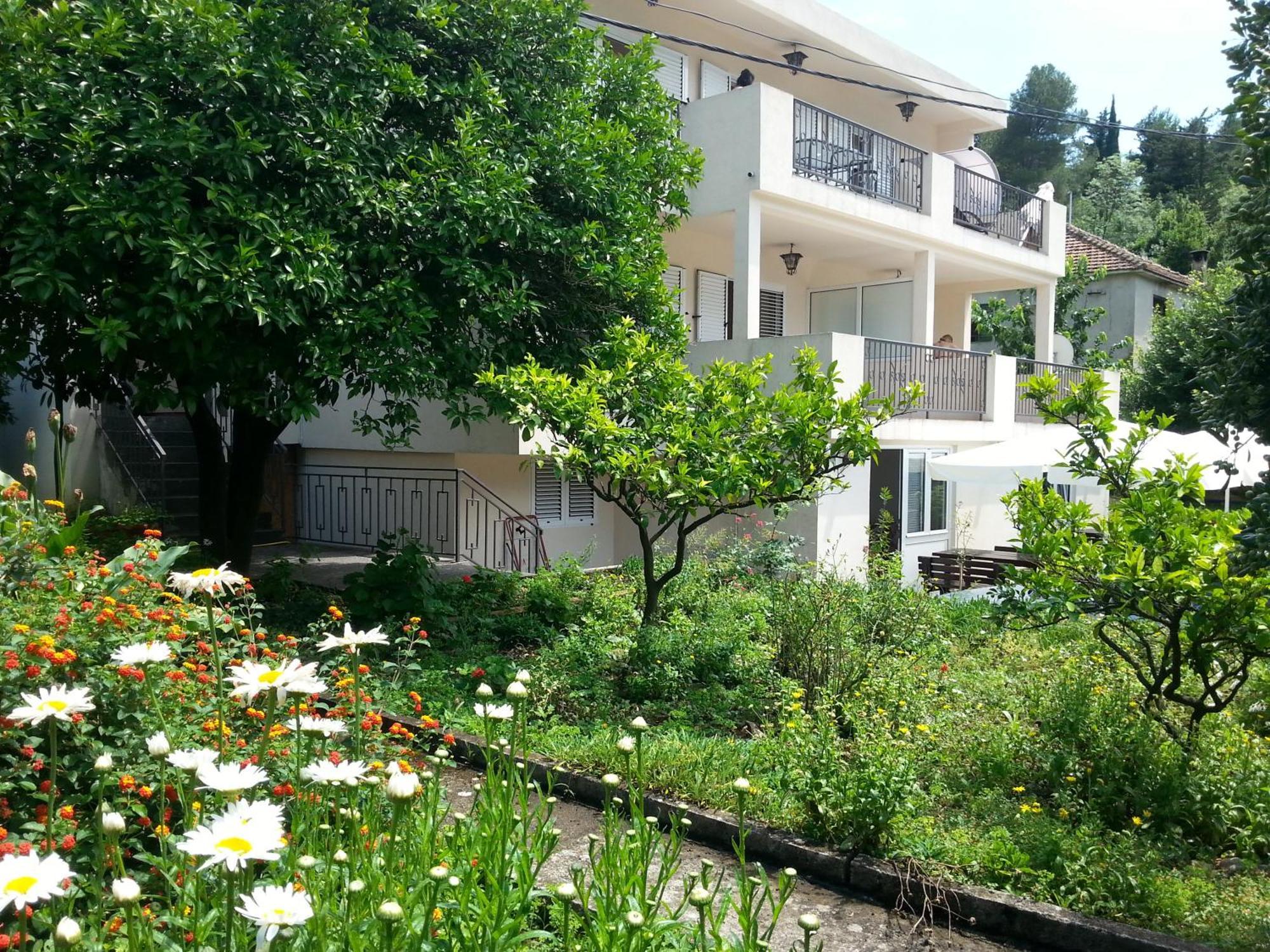 Apartments Pejanovic Kotor Exteriör bild